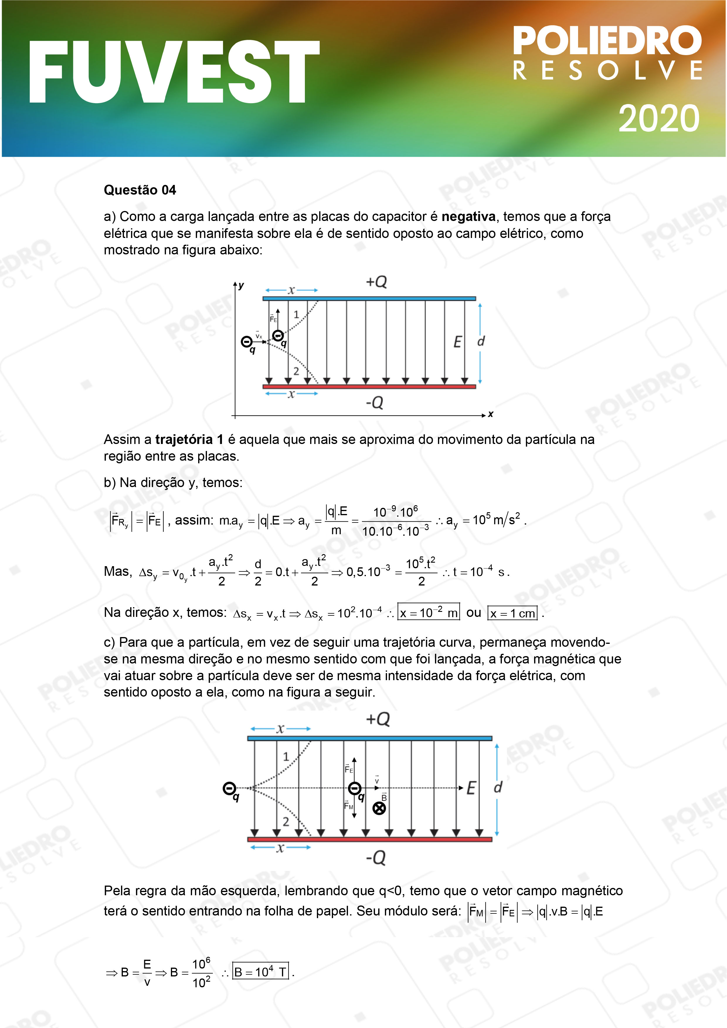 Dissertação 4 - 2ª Fase - 2º Dia - FUVEST 2020