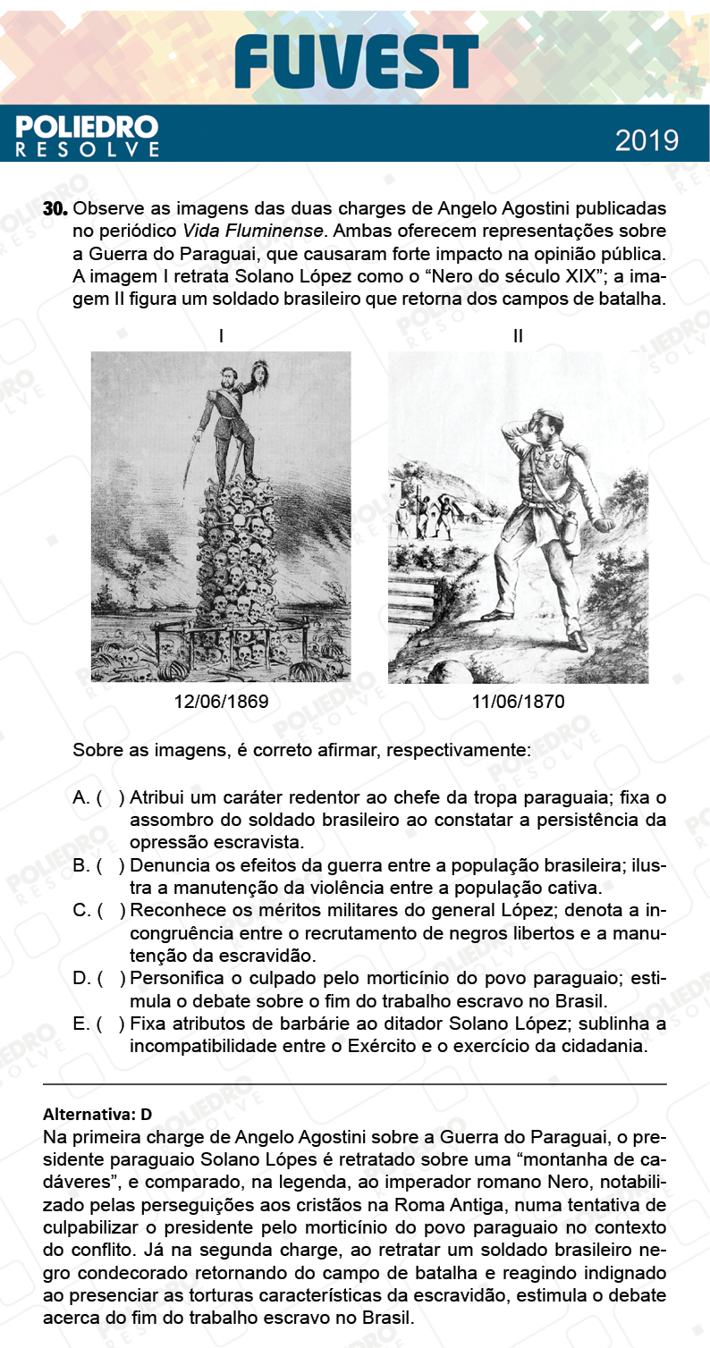 Questão 30 - 1ª Fase - Prova Q - FUVEST 2019