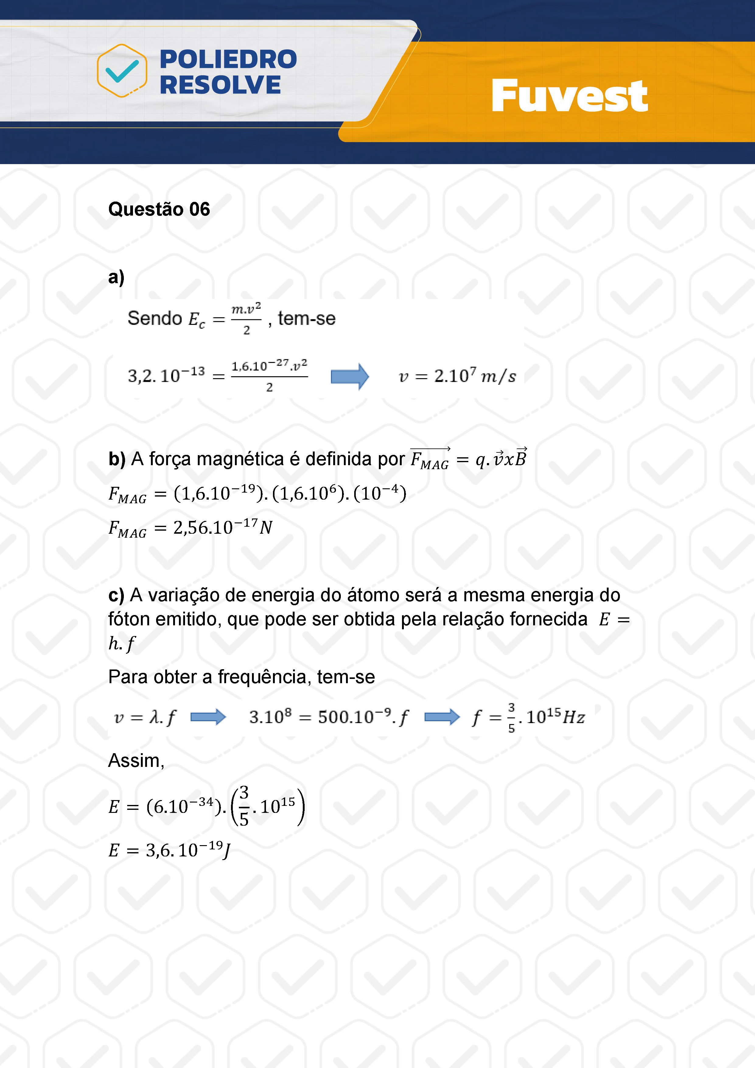 Dissertação 6 - 2ª Fase - 2º Dia - FUVEST 2024