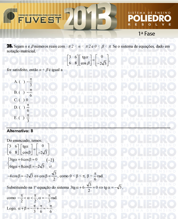 Questão 28 - 1ª Fase - FUVEST 2013