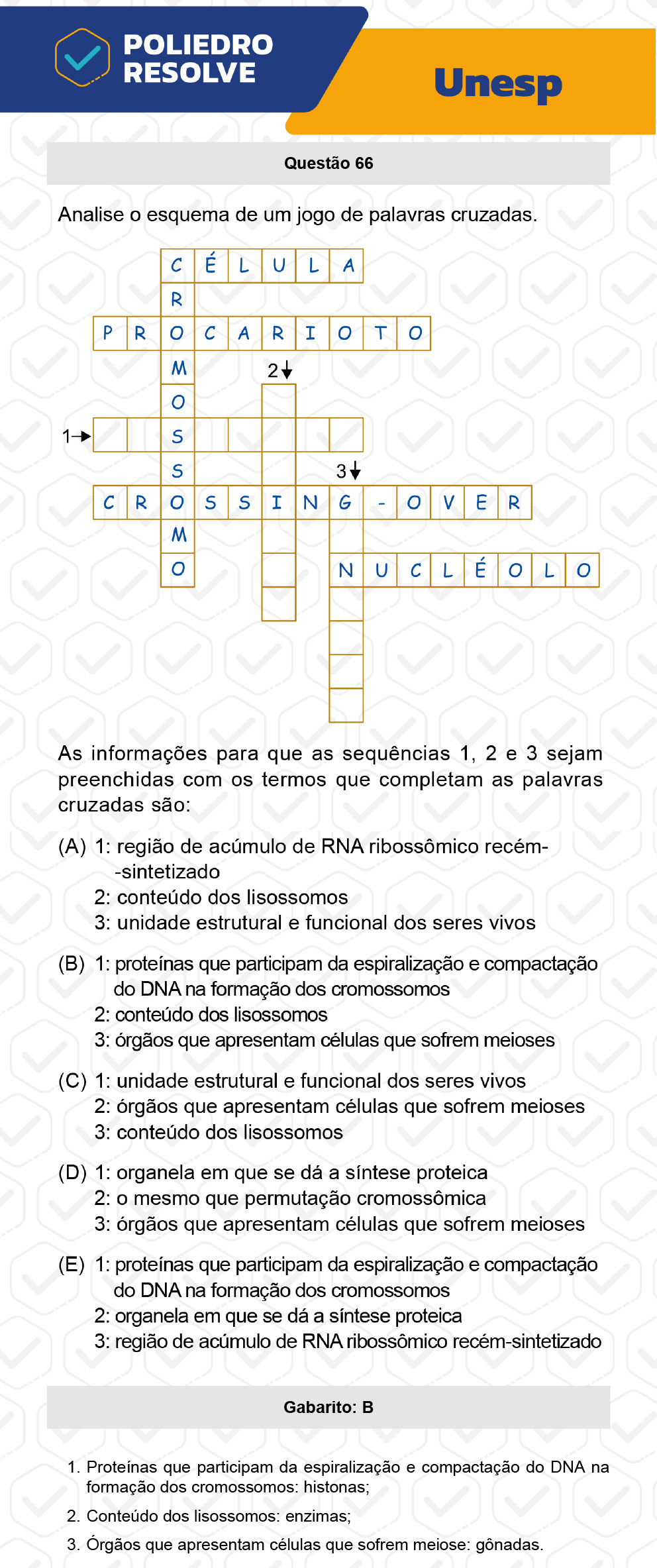 Questão 66 - 1ª Fase - UNESP 2023