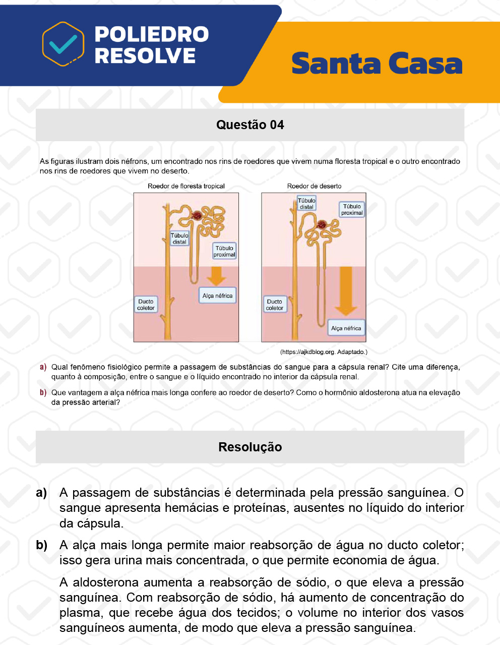 Dissertação 4 - 2º Dia - SANTA CASA 2023