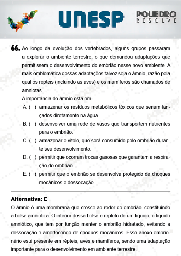 Questão 66 - 1ª Fase - PROVA 4 - UNESP 2018