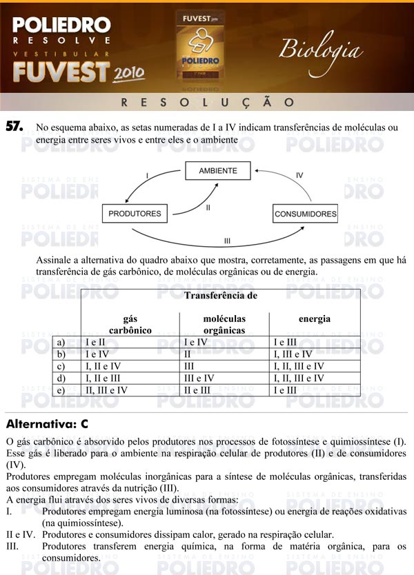 Questão 57 - 1ª Fase - FUVEST 2010