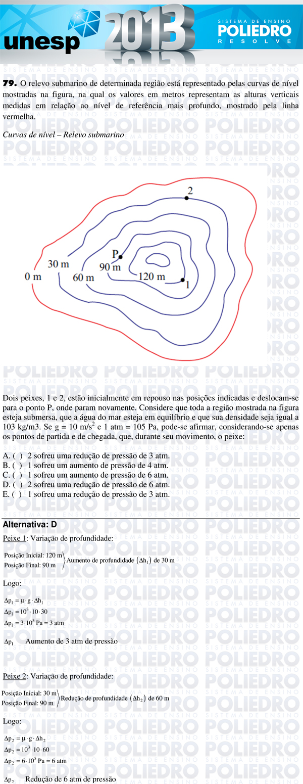 Questão 79 - 1ª Fase - UNESP 2013