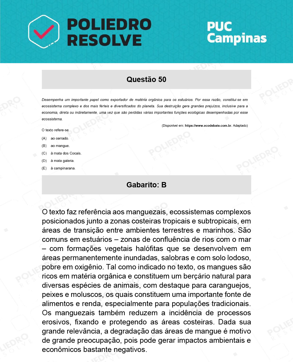 Questão 49 - Direito - PUC-Campinas 2022