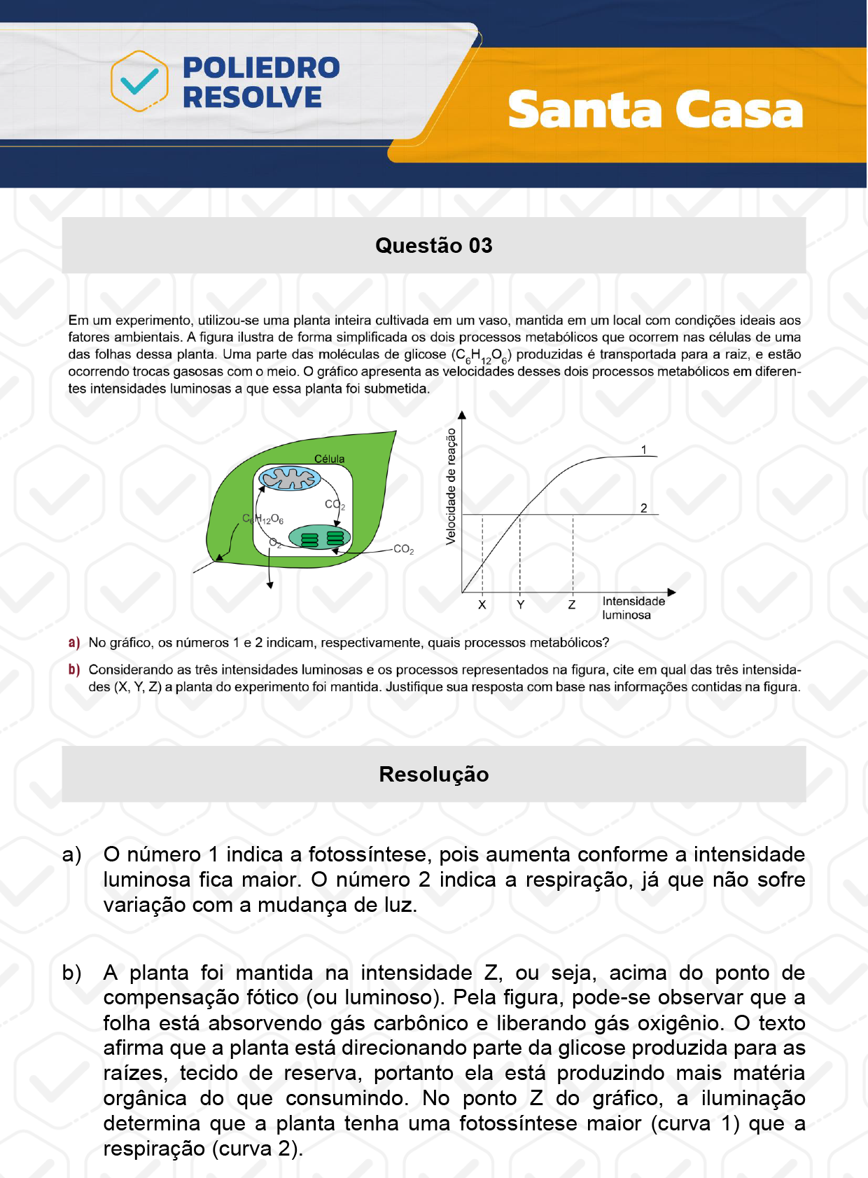 Dissertação 3 - 2º Dia - SANTA CASA 2024