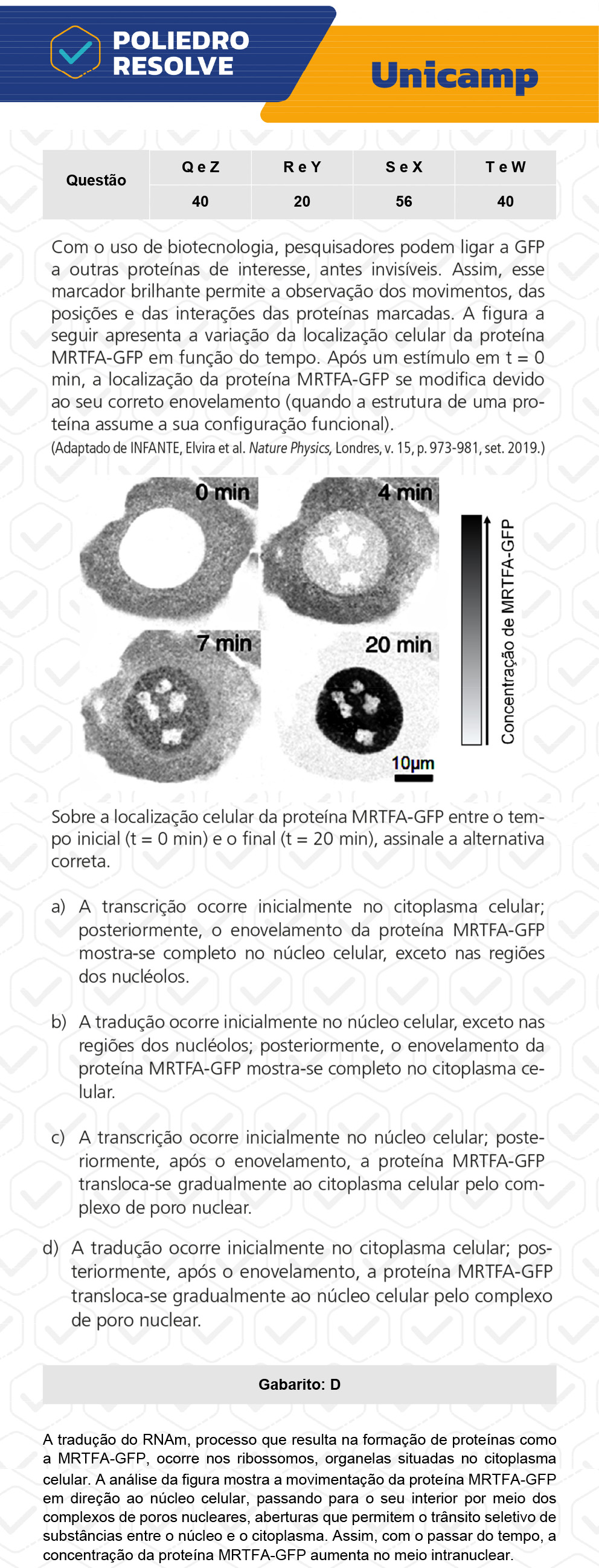 Questão 40 - 1ª Fase - 1º Dia - T e W - UNICAMP 2023