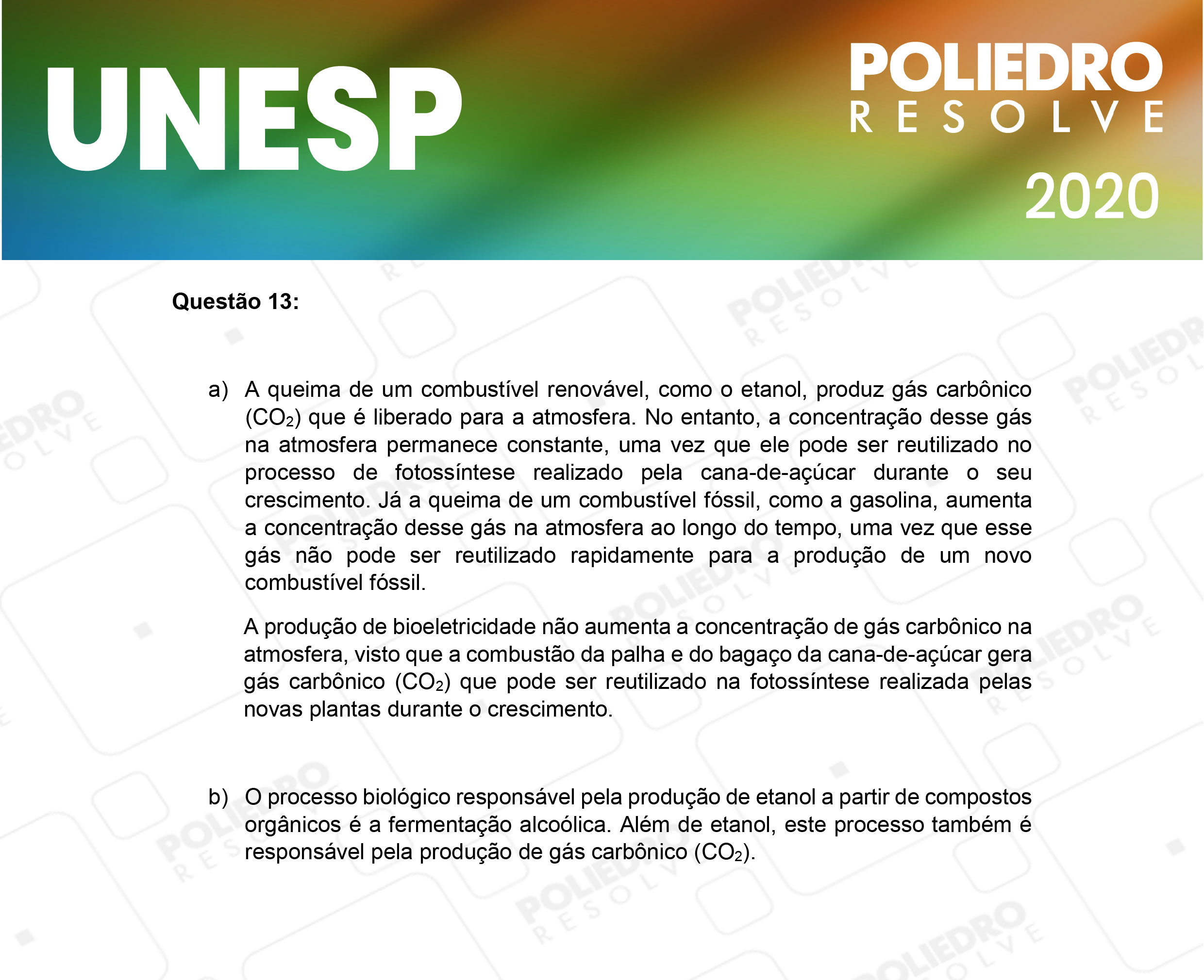 Dissertação 13 - 2ª Fase - 1º Dia - UNESP 2020