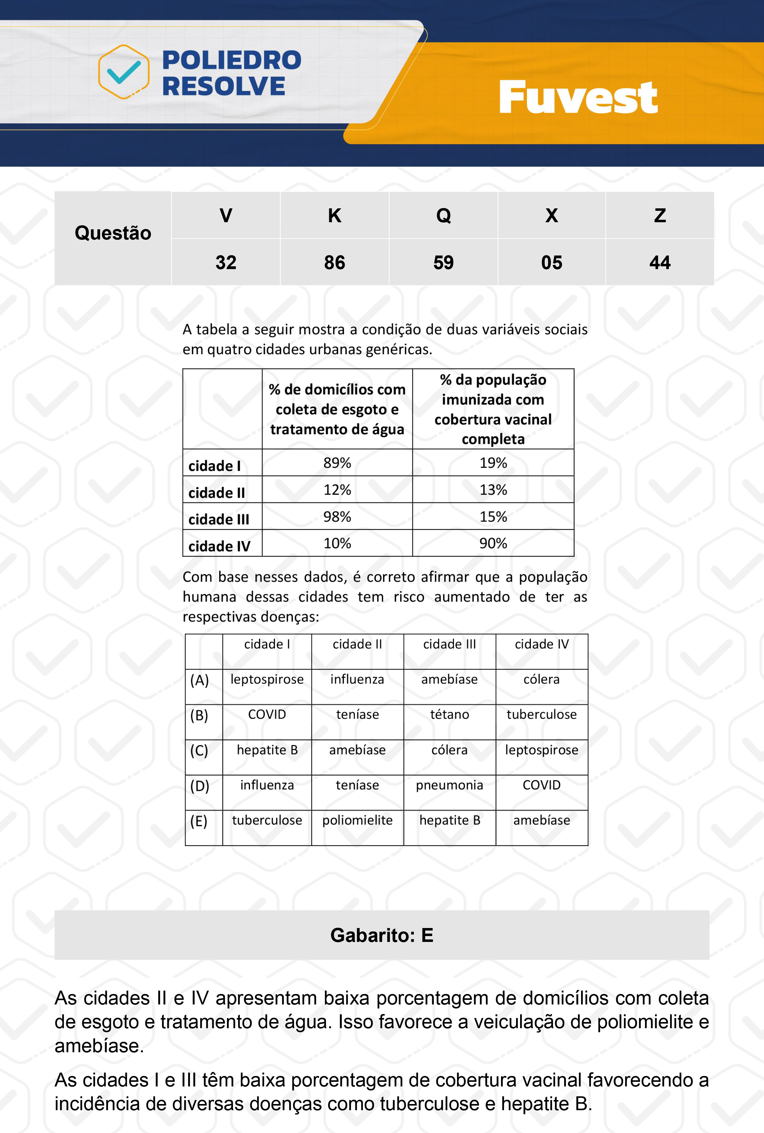 Questão 5 - 1ª Fase  - Prova X - FUVEST 2024