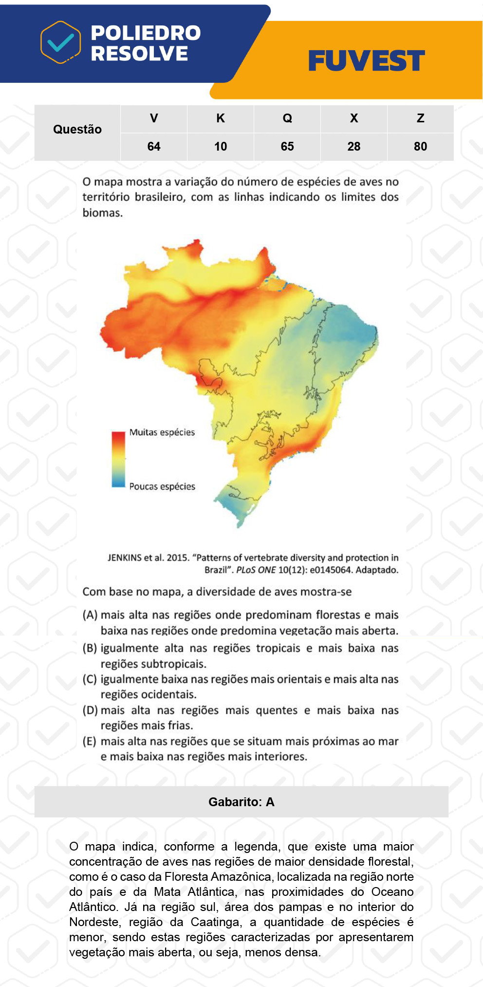 Questão 65 - 1ª Fase - Prova Q - FUVEST 2023