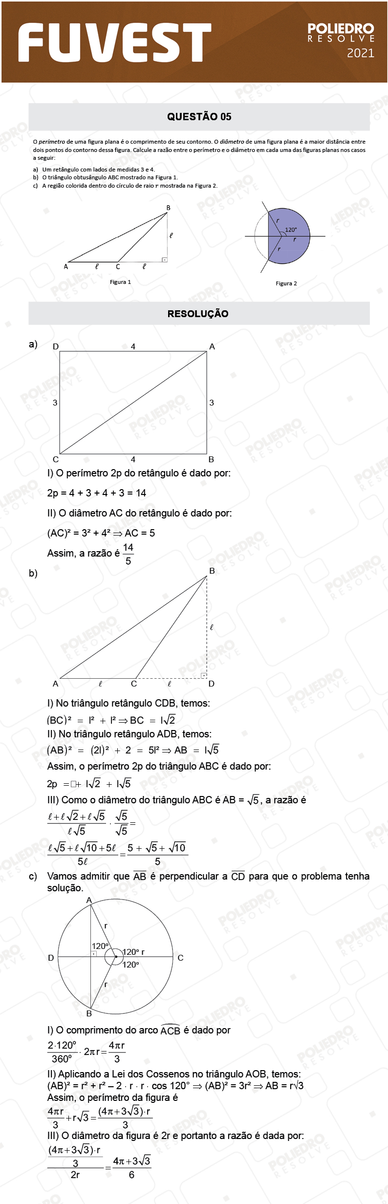 Dissertação 5 - 2ª Fase - 2º Dia - FUVEST 2021