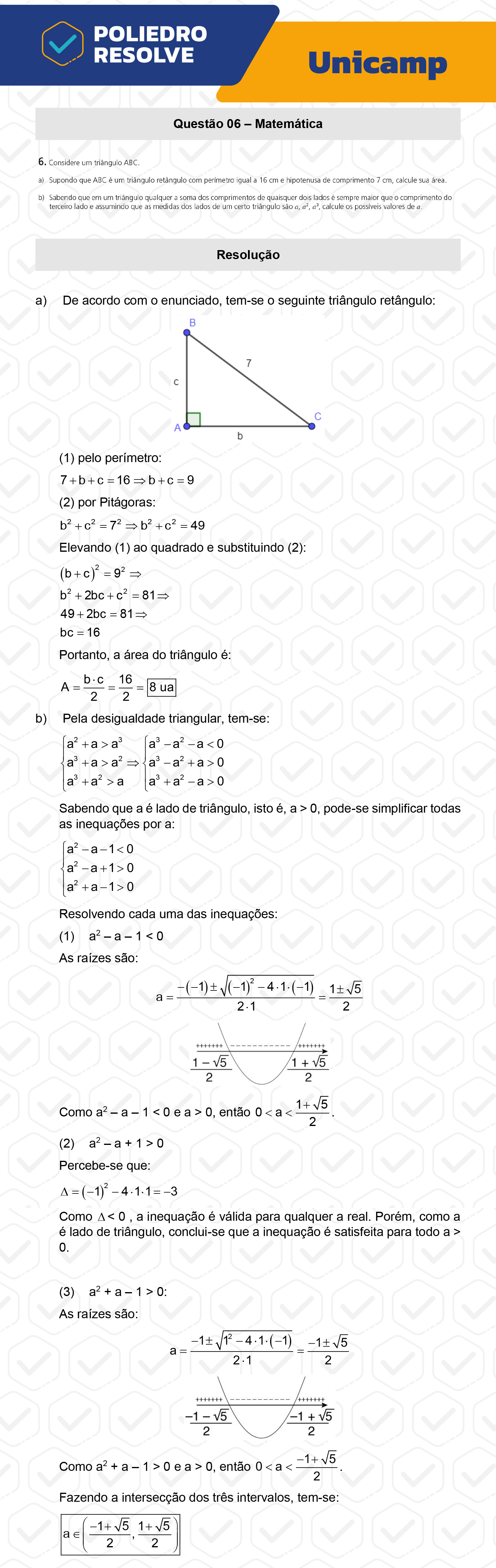 Dissertação 6 - 2ª Fase - 2º Dia - UNICAMP 2023