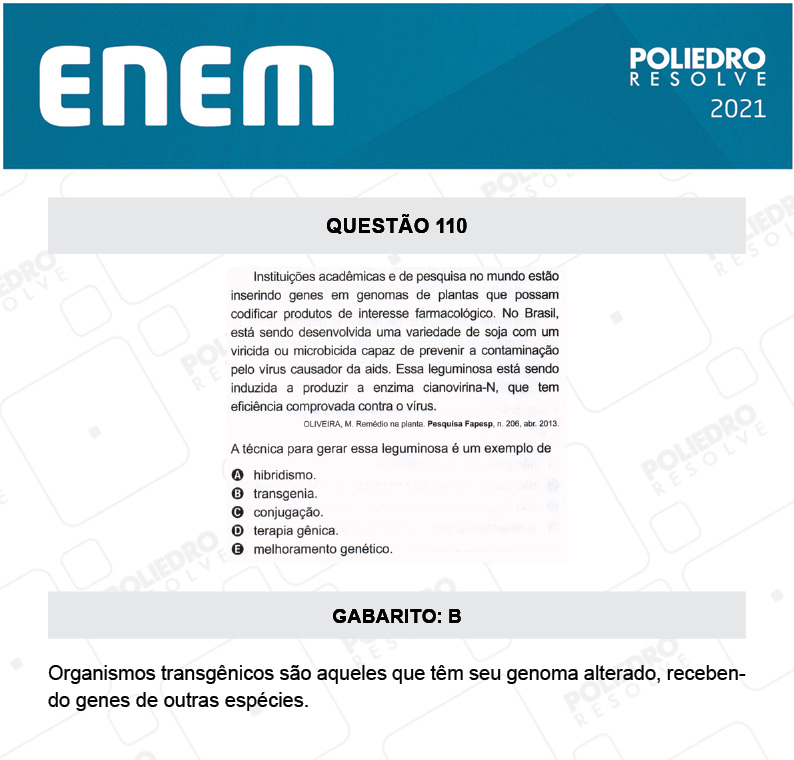 Questão 110 - 2º Dia - Prova Amarela - ENEM 2020