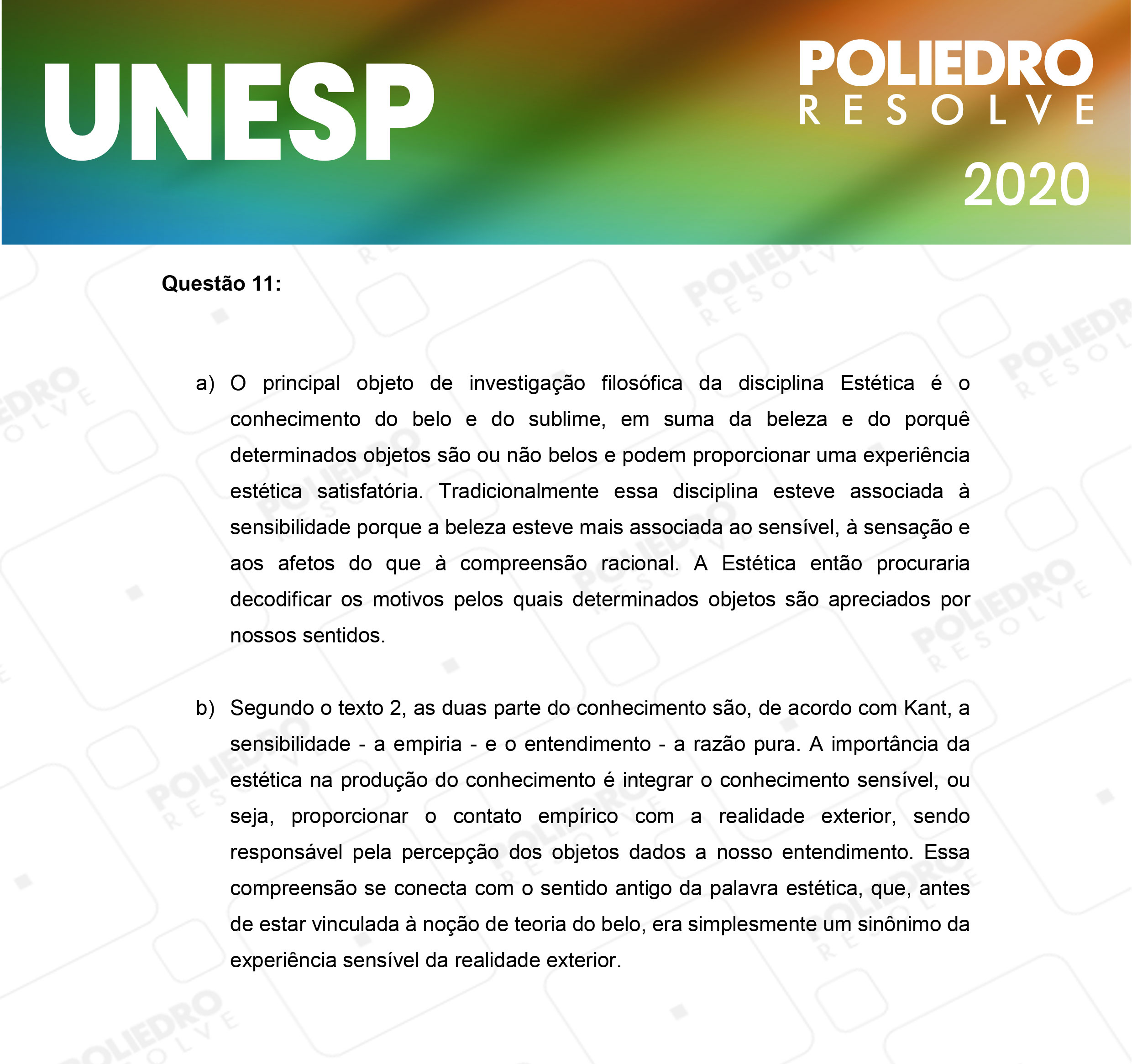 Dissertação 11 - 2ª Fase - 1º Dia - UNESP 2020