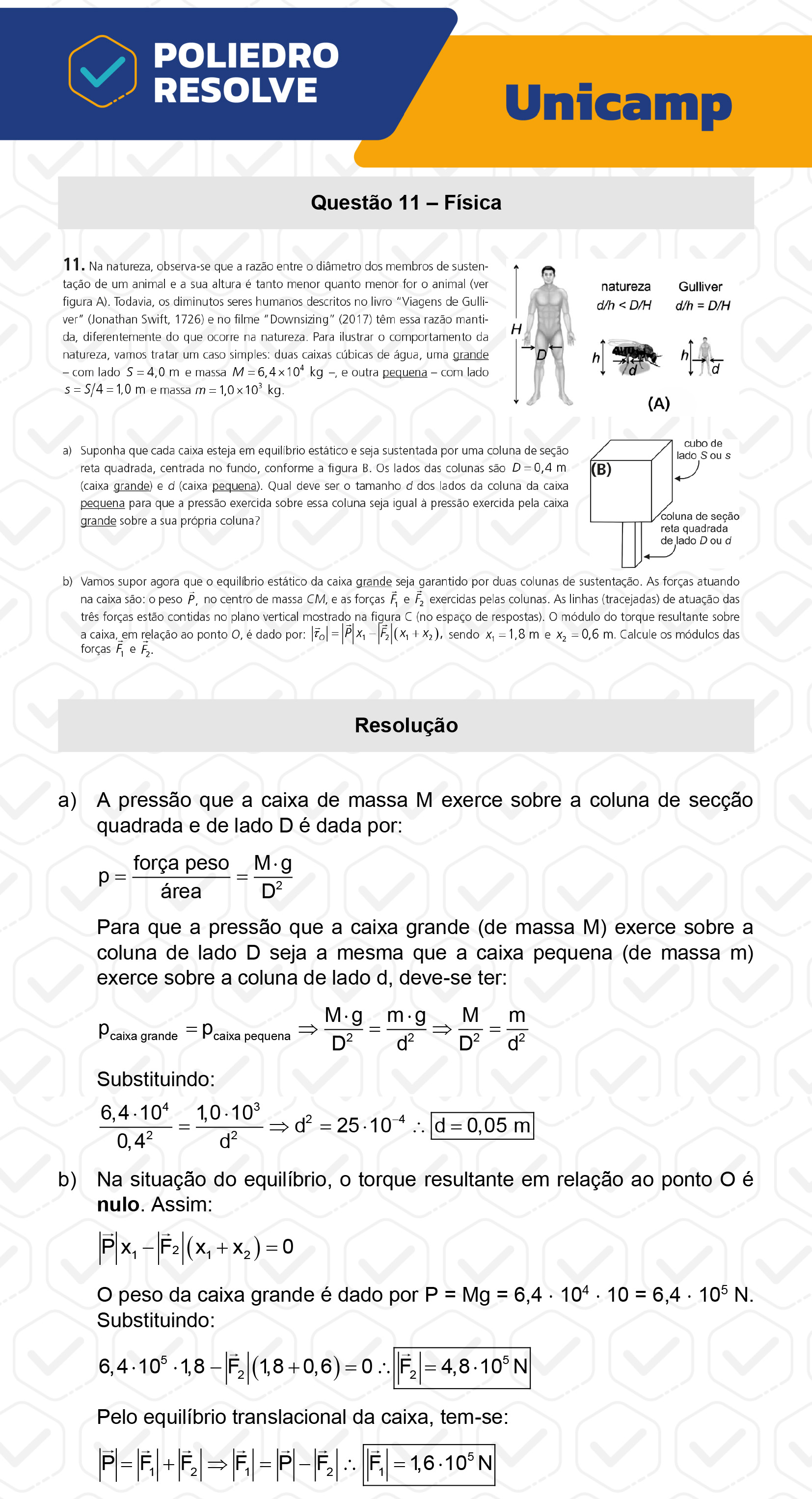 Dissertação 11 - 2ª Fase - 2º Dia - UNICAMP 2023