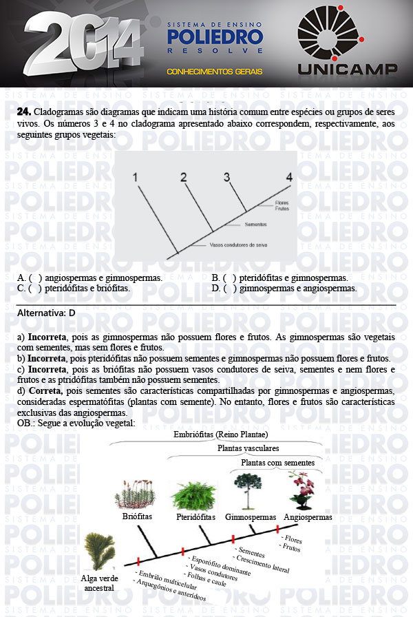 Questão 24 - 1ª Fase - UNICAMP 2014