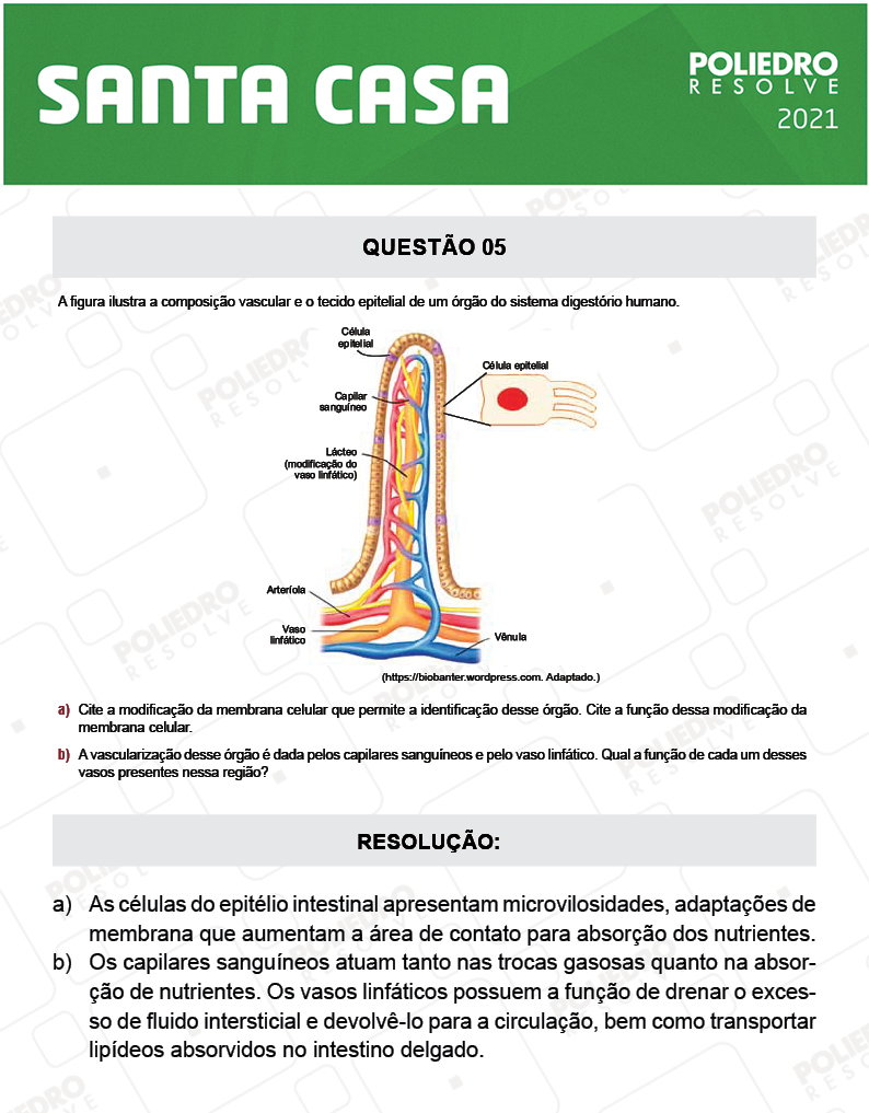 Dissertação 5 - 2º Dia - SANTA CASA 2021