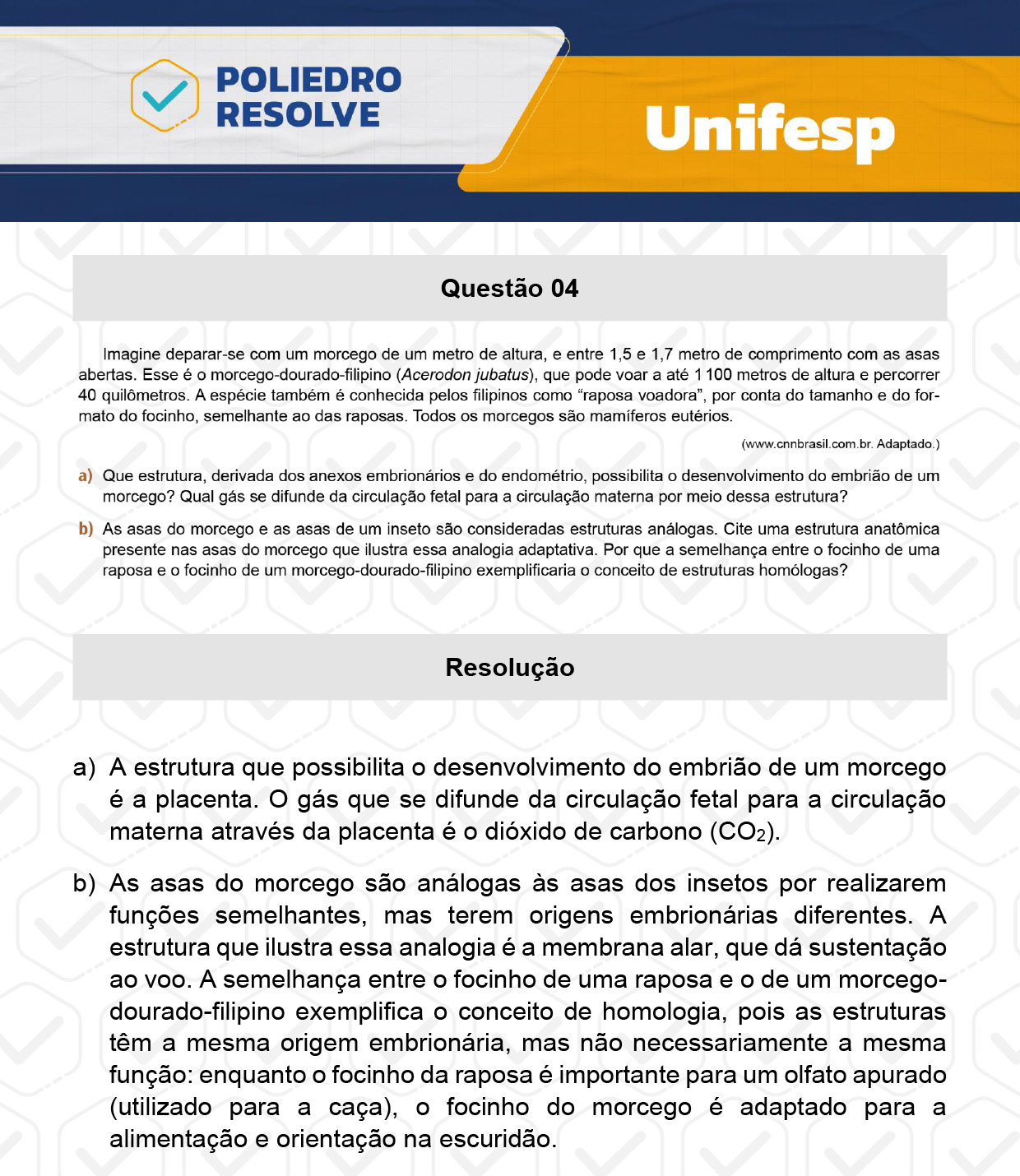 Dissertação 4 - 2º Dia - UNIFESP 2024