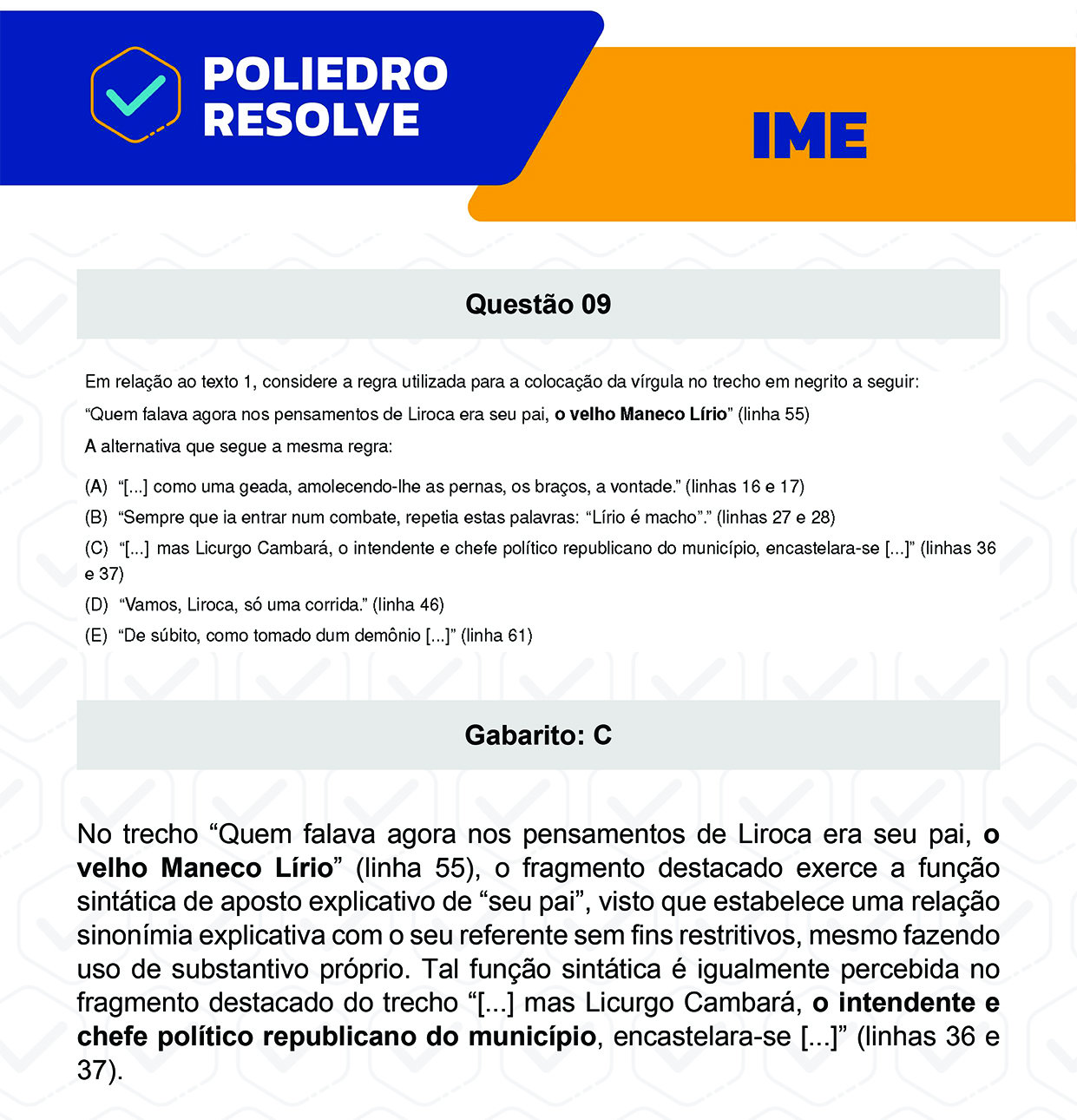 Questão 9 - 2ª Fase - Português/Inglês - IME 2023