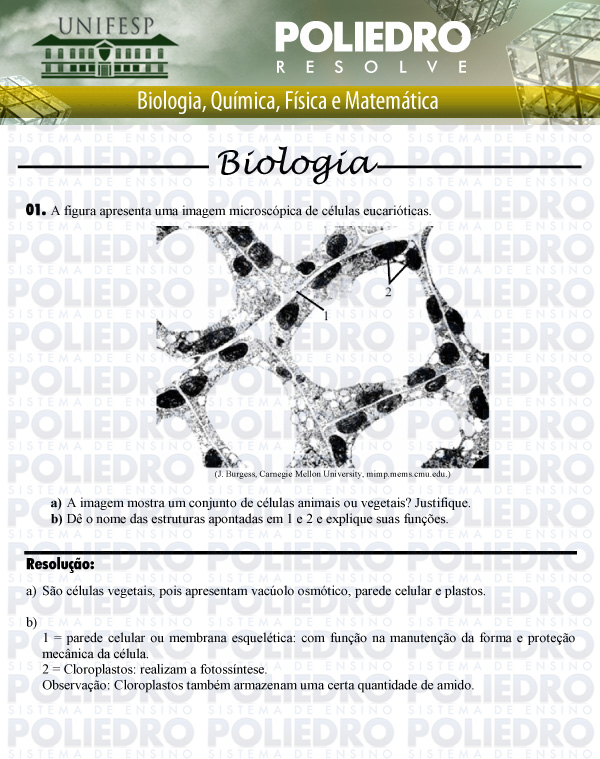 Dissertação 1 - Biológicas e Exatas - UNIFESP 2011