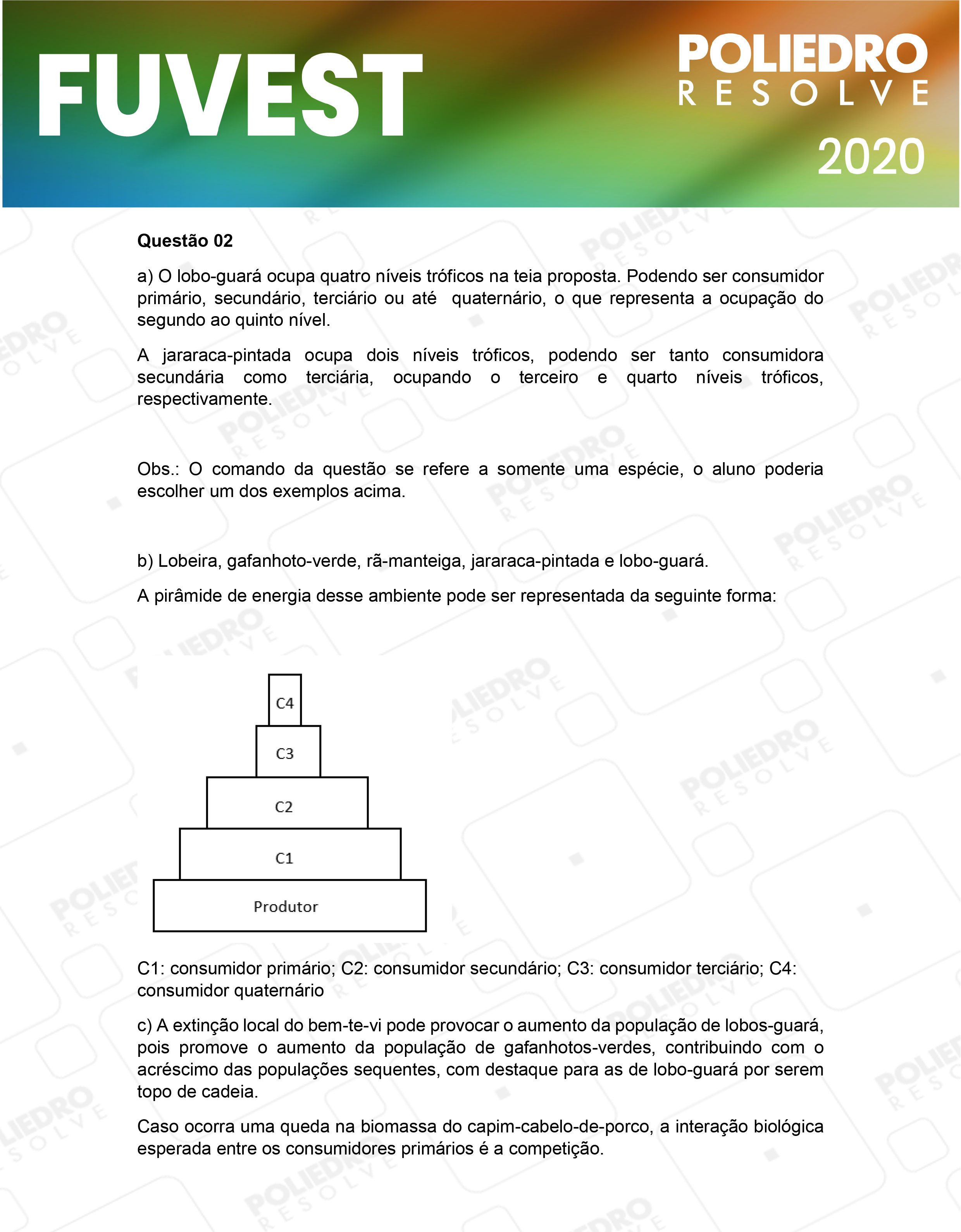 Dissertação 2 - 2ª Fase - 2º Dia - FUVEST 2020