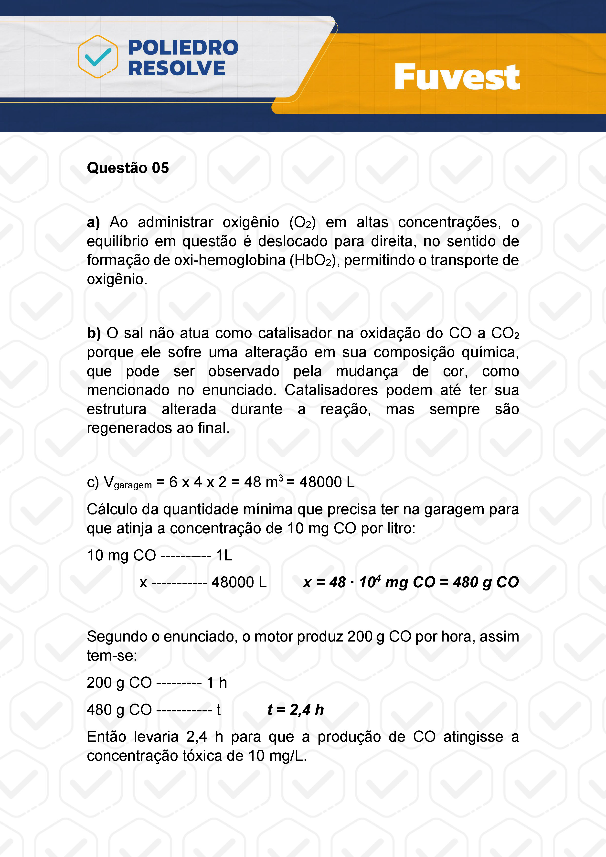 Dissertação 5 - 2ª Fase - 2º Dia - FUVEST 2024