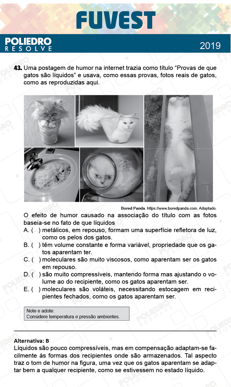 Questão 43 - 1ª Fase - Prova V - FUVEST 2019