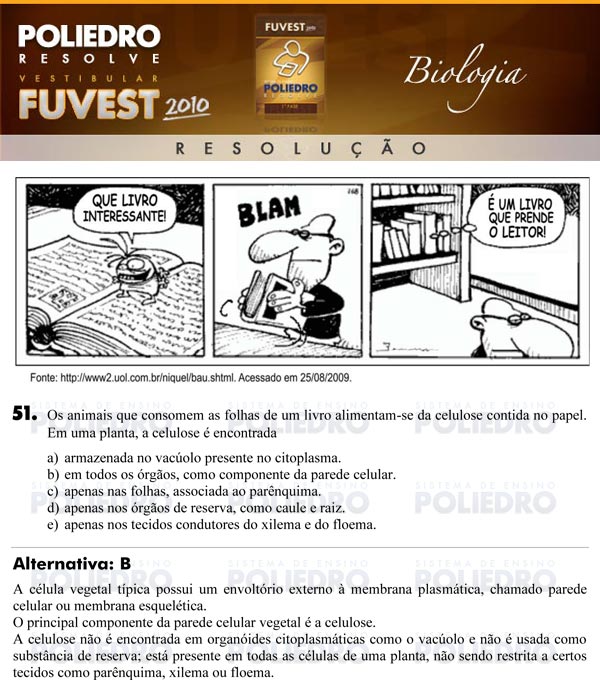 Questão 51 - 1ª Fase - FUVEST 2010