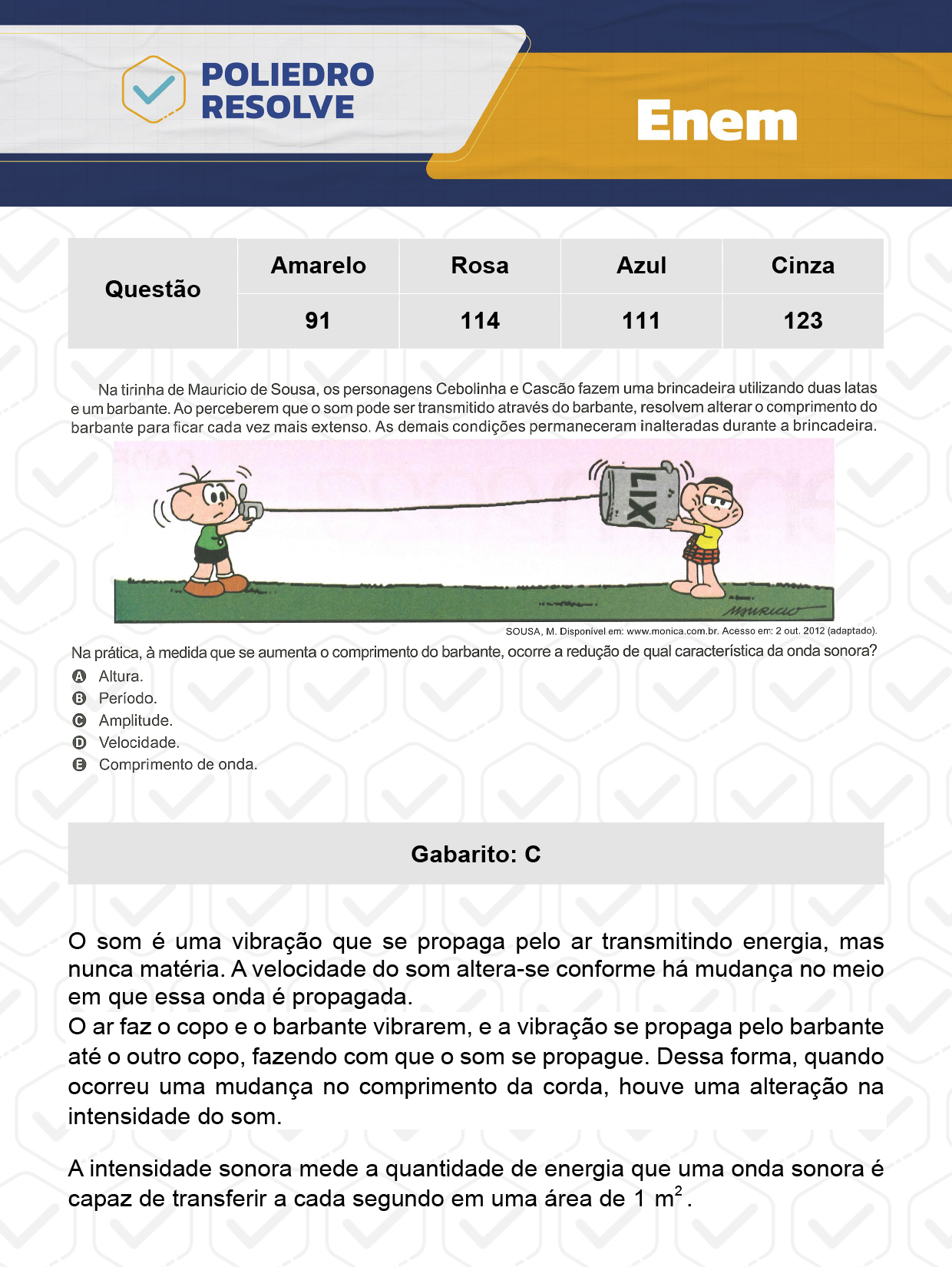 Questão 33 - Dia 2 - Prova Cinza - Enem 2023