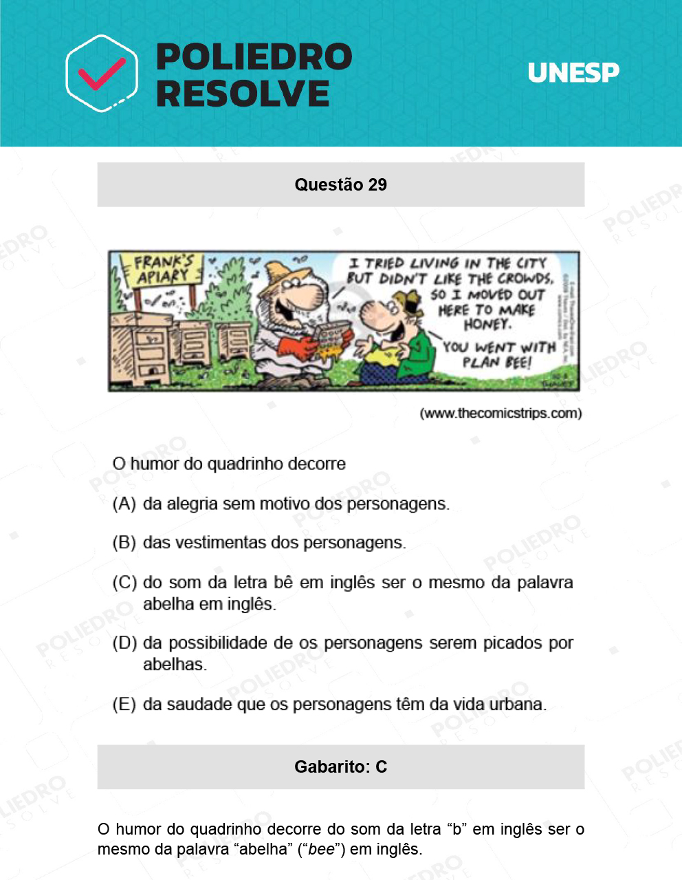 Questão 29 - 1ª Fase - Ext / Hum - UNESP 2022