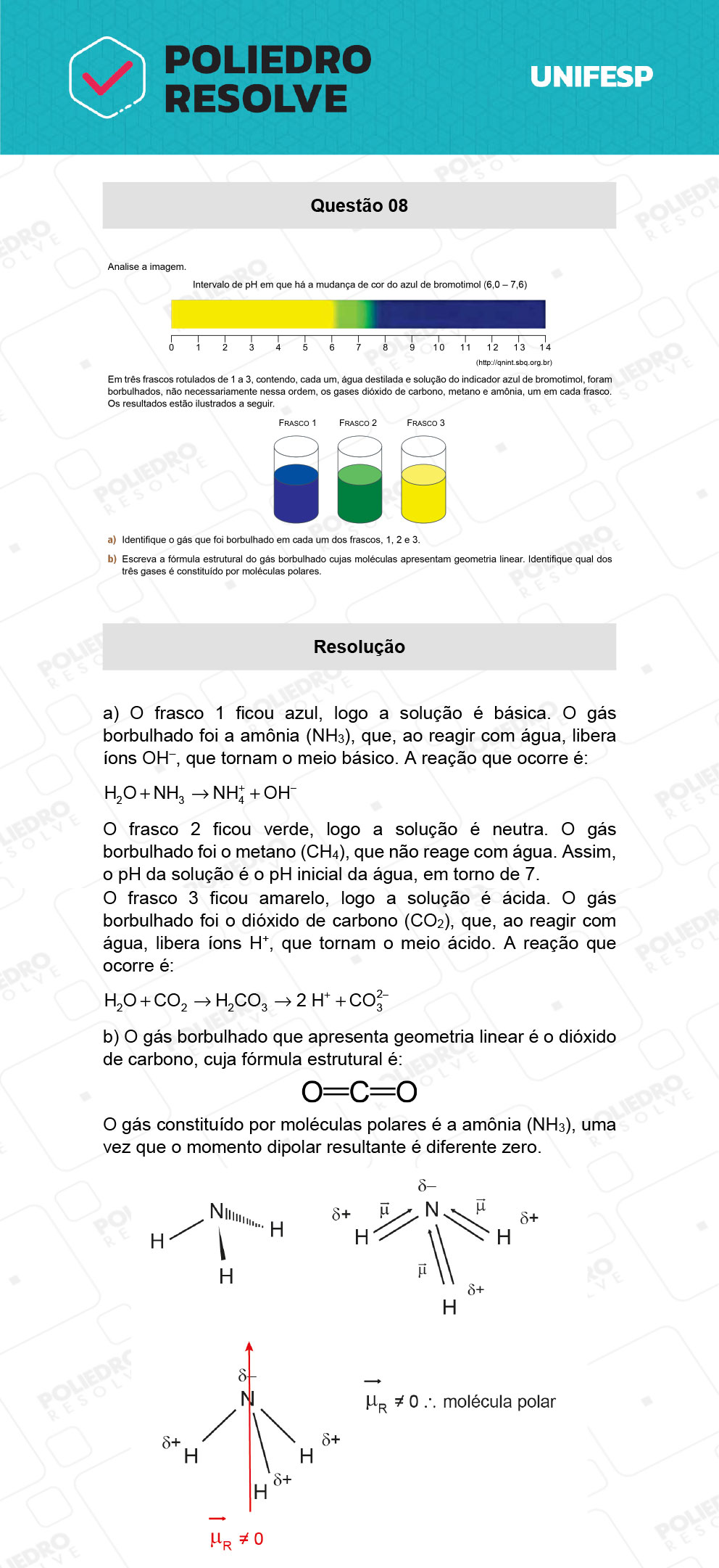 Dissertação 8 - 2º Dia - 21/01/22 - UNIFESP 2022