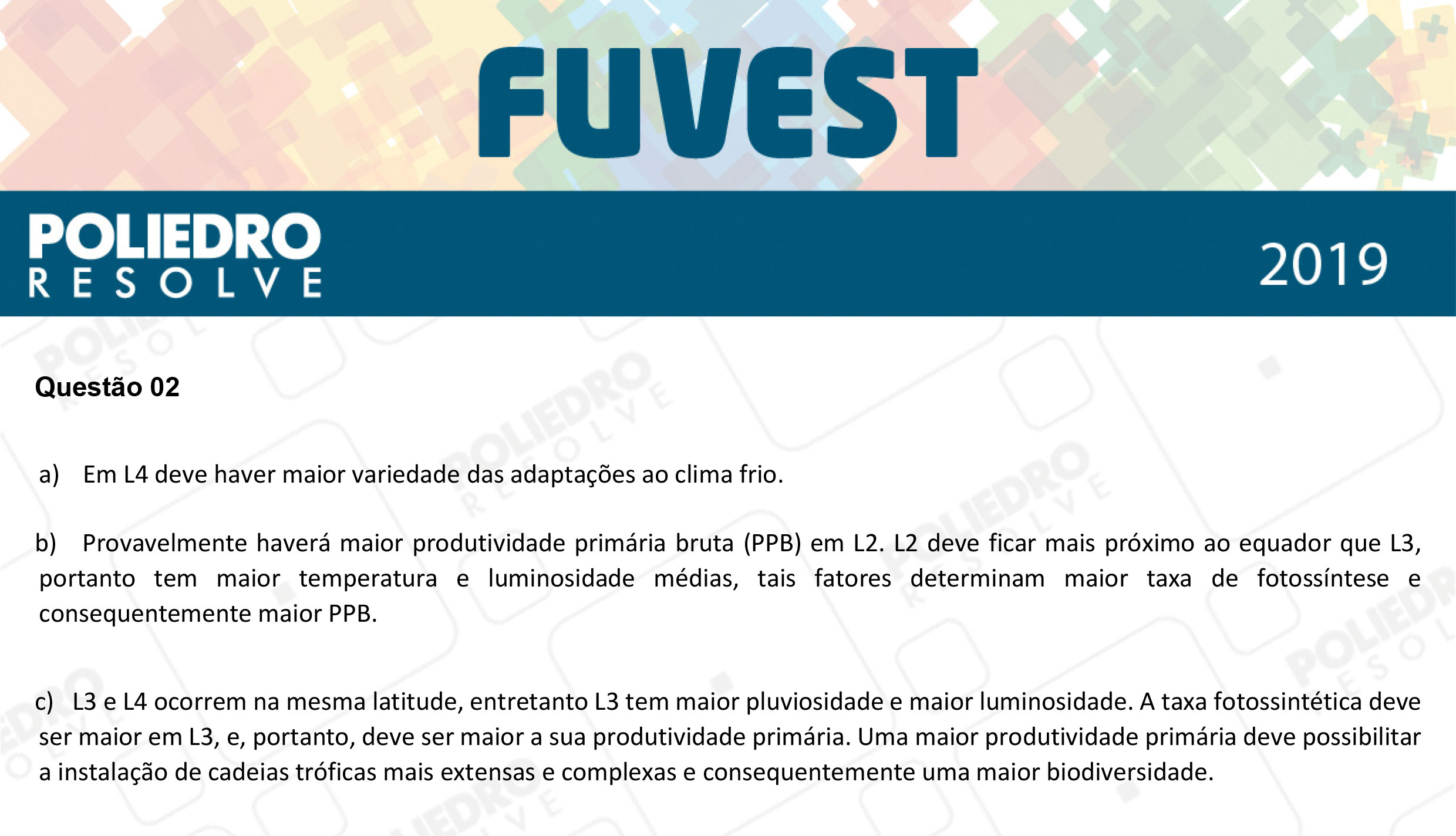 Dissertação 2 - 2ª Fase - 2º Dia - FUVEST 2019