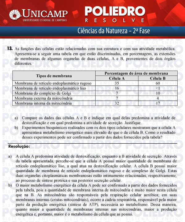 Dissertação 13 - 2ª Fase - UNICAMP 2012