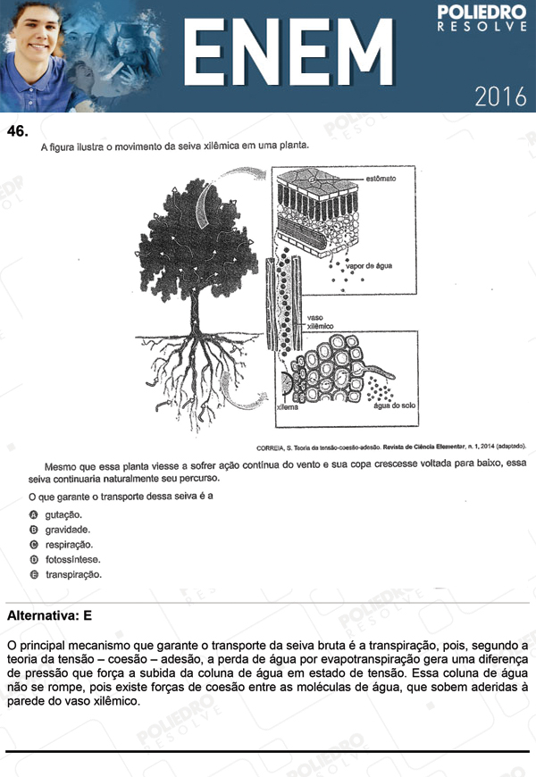 Questão 46 - 1º Dia (PROVA ROSA) - ENEM 2016