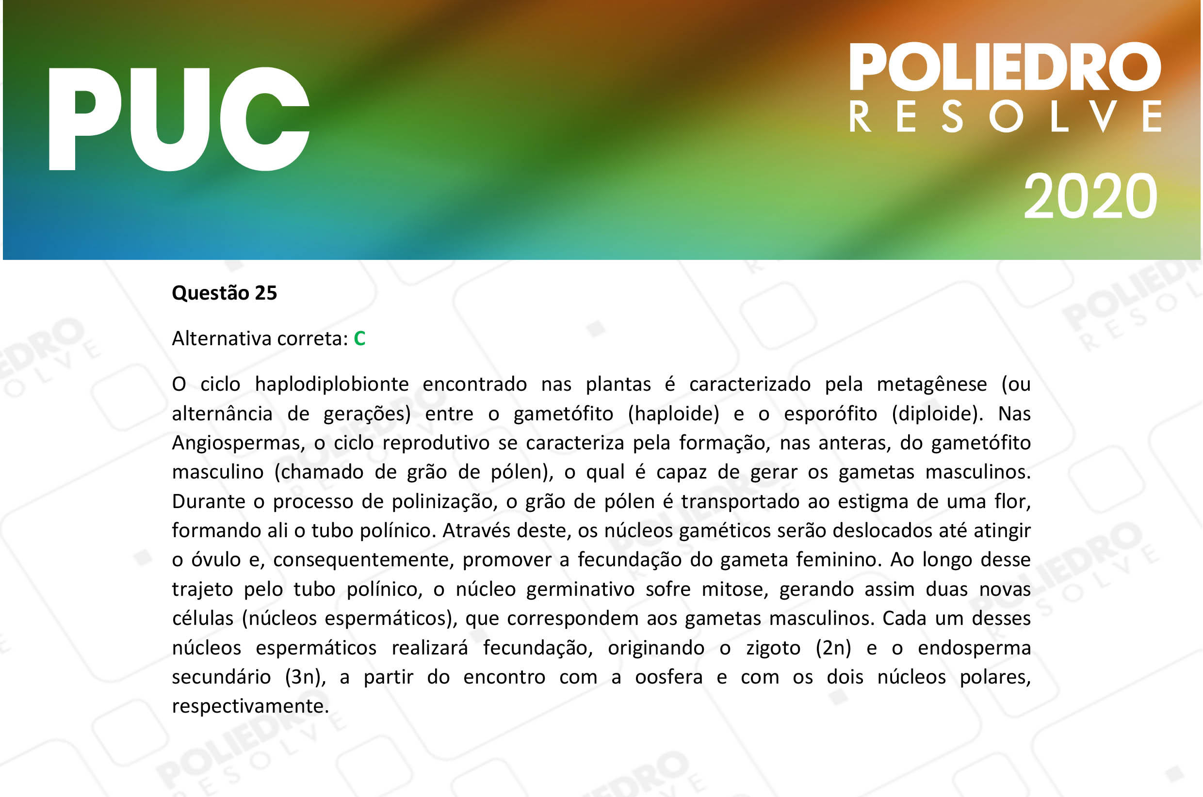 Questão 25 - 1ª Fase - PUC-Campinas 2020