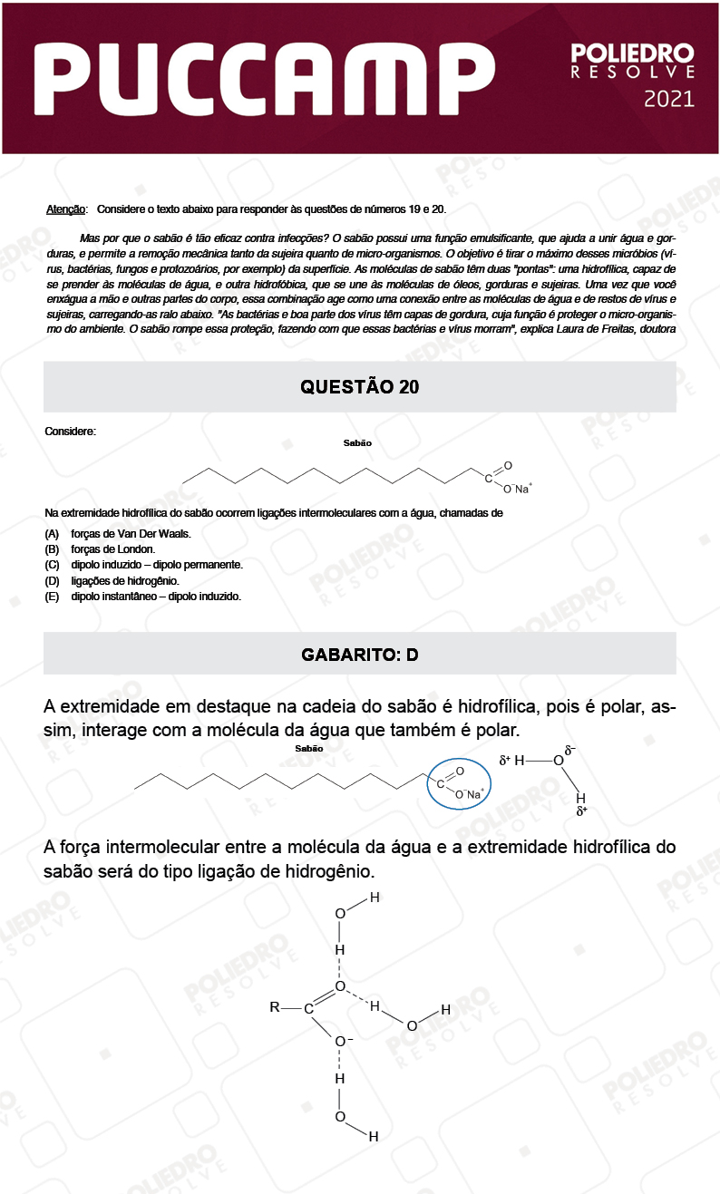 Questão 20 - Demais Cursos - PUC-Campinas 2021