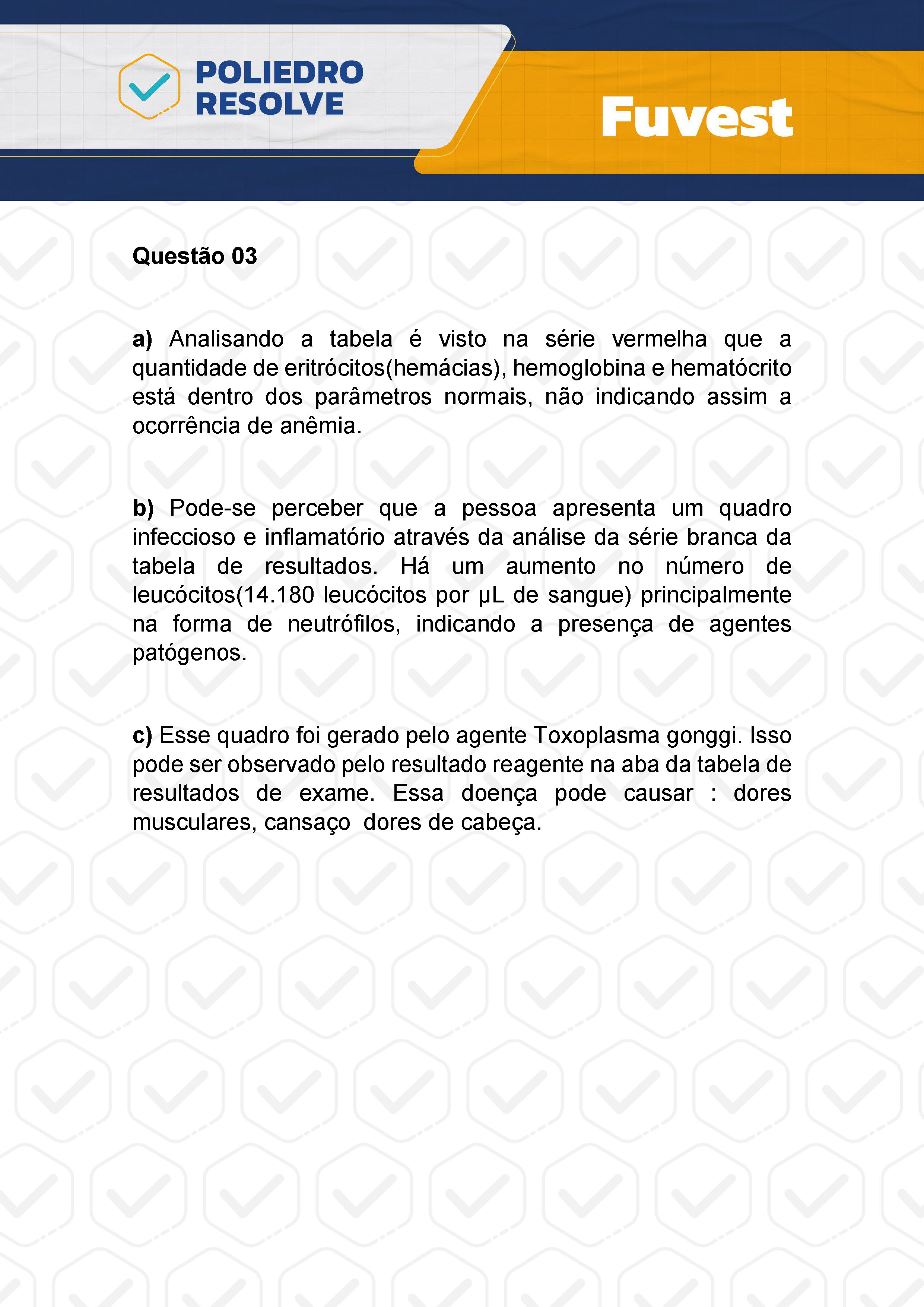 Dissertação 3 - 2ª Fase - 2º Dia - FUVEST 2024