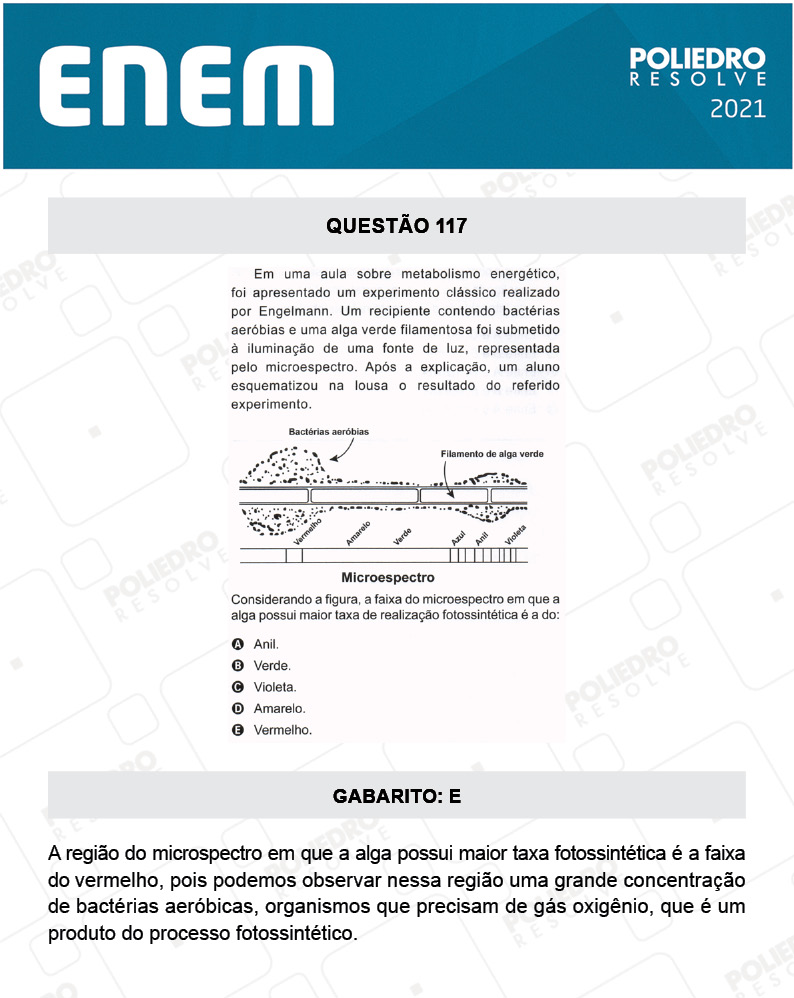 Questão 117 - 2º Dia - Prova Amarela - ENEM 2020