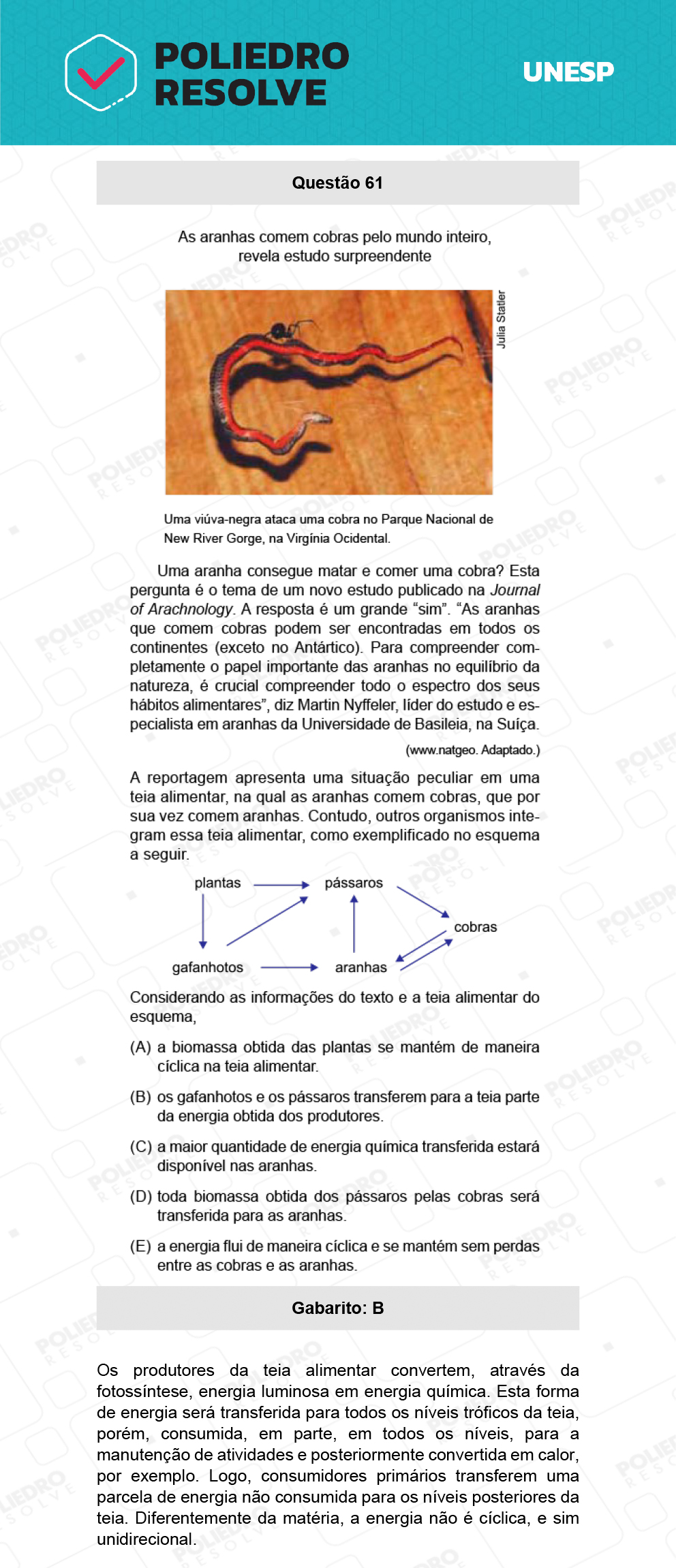 Questão 61 - 1ª Fase - Biológicas - UNESP 2022