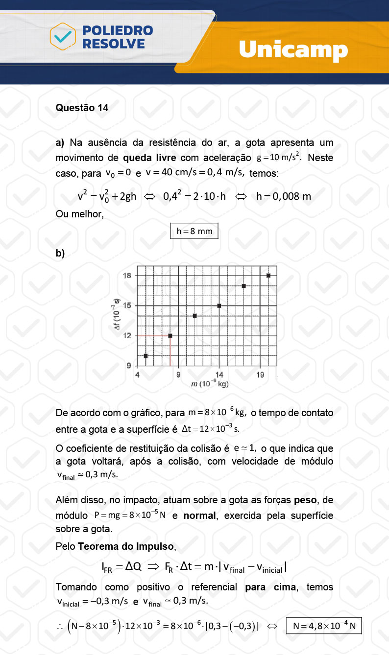 Dissertação 14 - 2ª Fase - 2º Dia - UNICAMP 2024