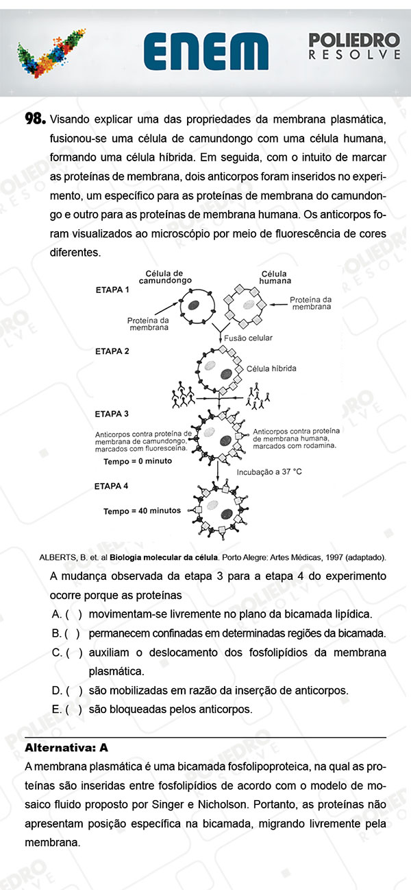 Questão 98 - 2º Dia (PROVA AMARELA) - ENEM 2017