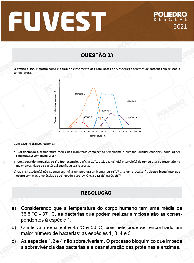 Dissertação 3 - 2ª Fase - 2º Dia - FUVEST 2021