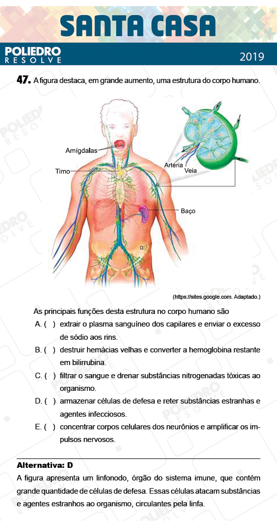 Questão 47 - 2º Dia - Objetivas - SANTA CASA 2019