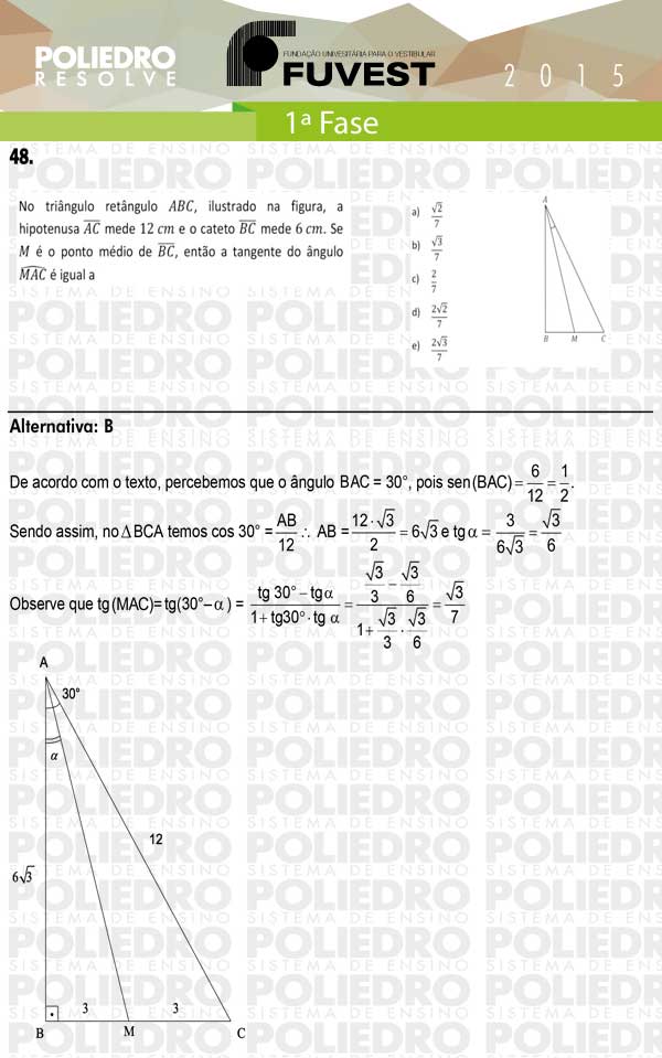 Questão 48 - 1ª Fase - FUVEST 2015