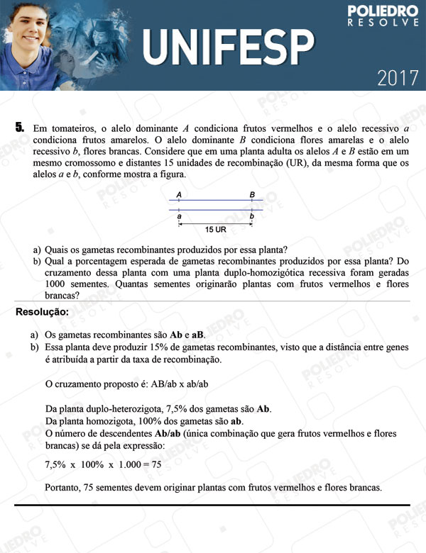 Dissertação 5 - 2º dia - UNIFESP 2017