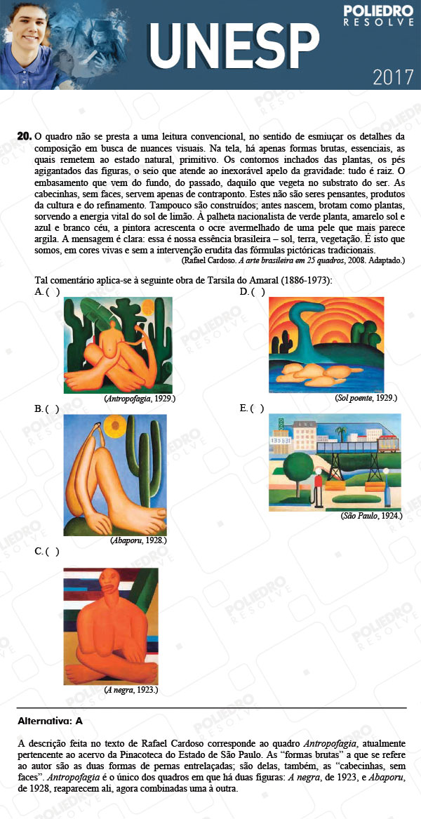 Questão 20 - 1ª Fase - UNESP 2017