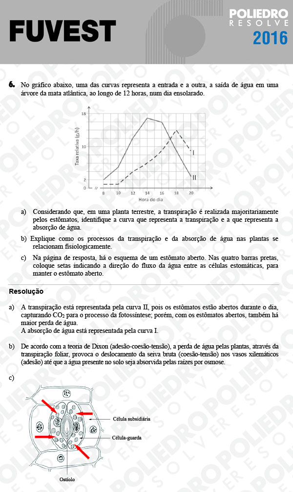 Dissertação 6 - 2ª Fase - 3º Dia - FUVEST 2016