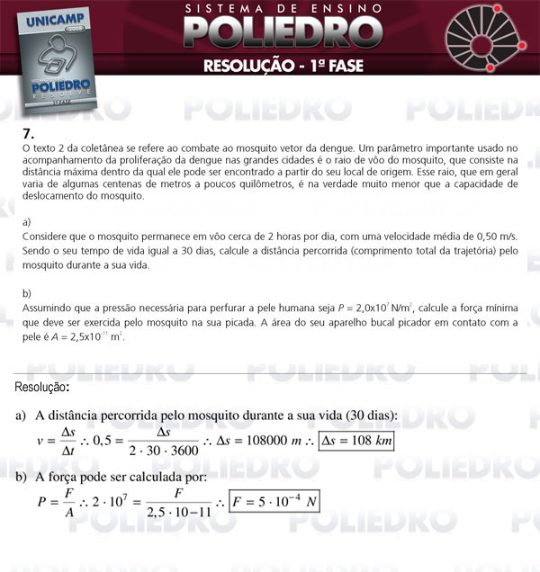 Dissertação 7 - 1ª Fase - UNICAMP 2008