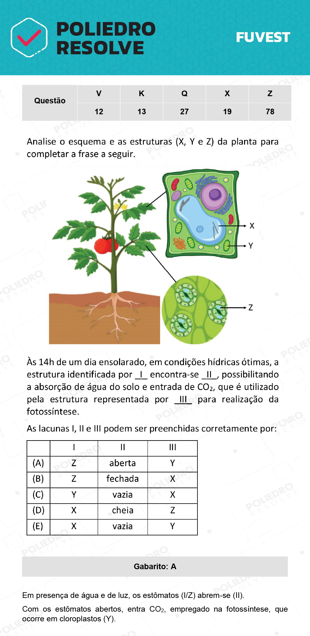 Questão 12 - 1ª Fase - Prova V - 12/12/21 - FUVEST 2022